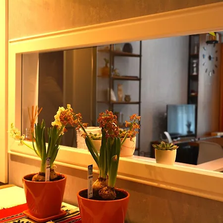 Luxury Apartamento Tirana